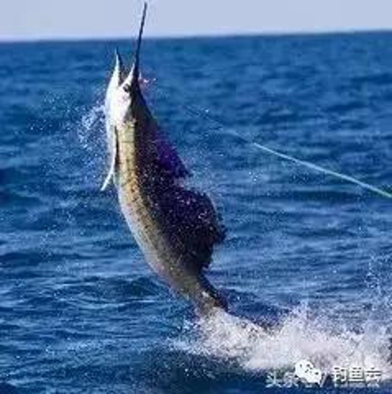 野钓技巧大揭秘:轻松享受自然乐趣