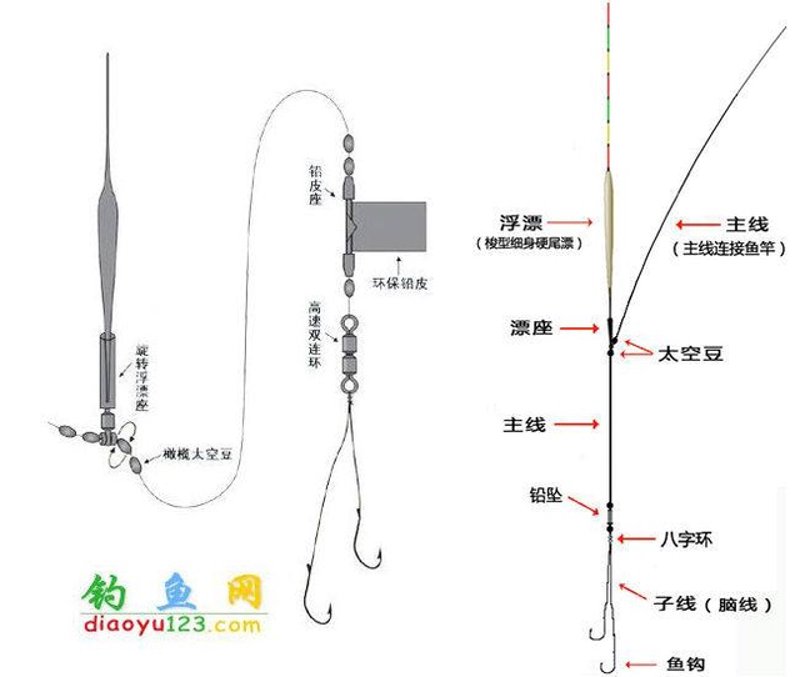 钓鱼技巧:提升你的渔猎技能