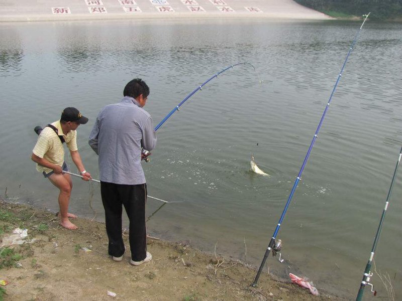 钓鱼入门指南:选择最适合你的钓具